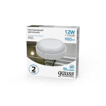 Пылевлагозащищенный светильник Gauss 126411312