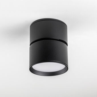 Спот Lightstar 215837