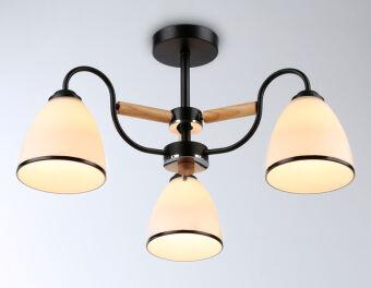 Накладной светильник Ambrella Light TR3033241