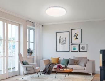 Накладной светильник Ambrella Light FZ417