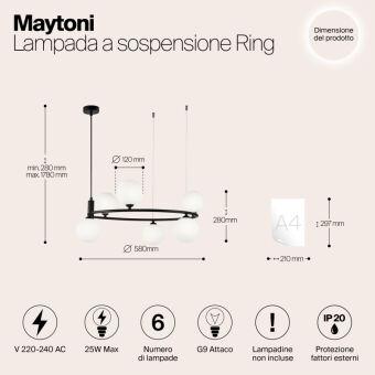 Подвесная люстра Maytoni MOD013PL-06B