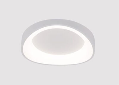   ARTE Lamp A2698PL-48WH