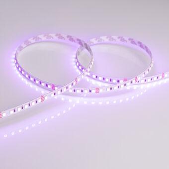 Лента Arlight 026832