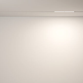 Светильник на шине Maytoni Technical TR106-4-12W-DS-W