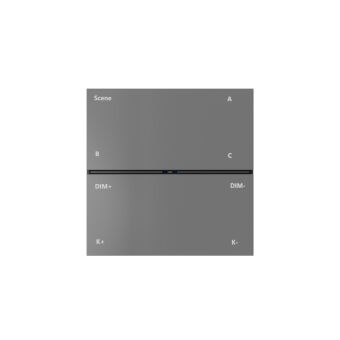 Настенная панель управления Denkirs DK7201-DG