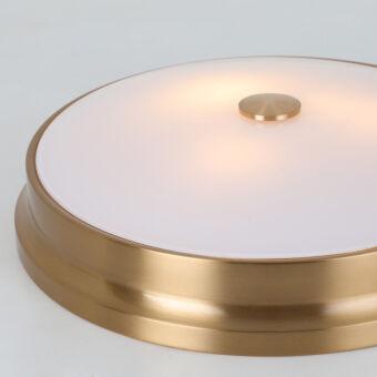 Накладной светильник Favourite 2375-3C