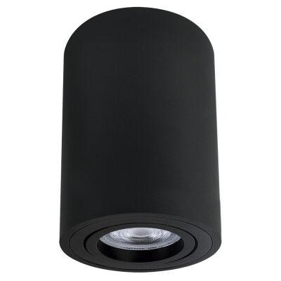    Arte Lamp SENTRY A1566PL-1BK