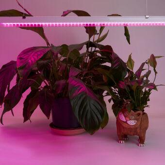 Светильник для растениеводства Feron 41352