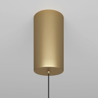 Подвесной светильник Maytoni Technical P022PL-L10MG3K