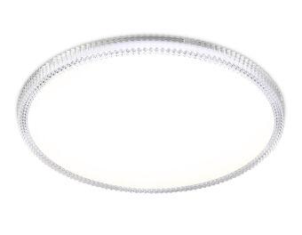 Накладной светильник Ambrella Light FZ1701