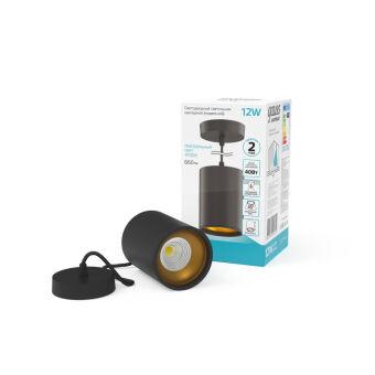 Подвесной светильник Gauss HD042