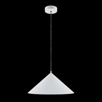 Подвесной светильник Maytoni MOD167PL-01W