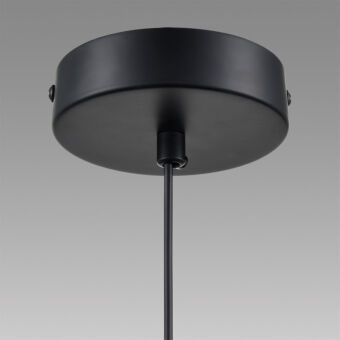 Подвесной светильник LUMION 8101/1A