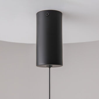 Подвесной светильник Maytoni Technical P022PL-L10B