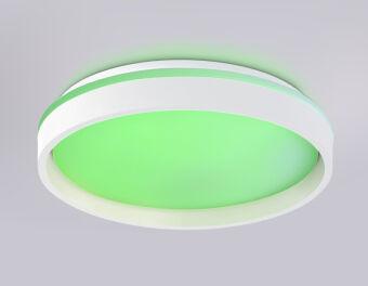 Накладной светильник Ambrella Light FZ601