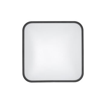 Накладной светильник Nowodvorski 10983