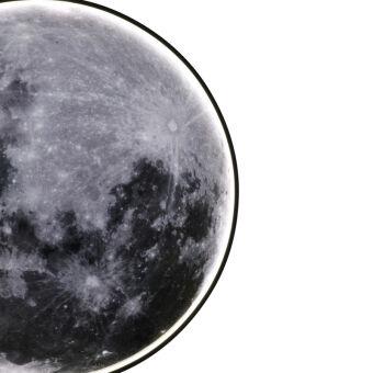 Накладной светильник Escada 605/S LED Moon