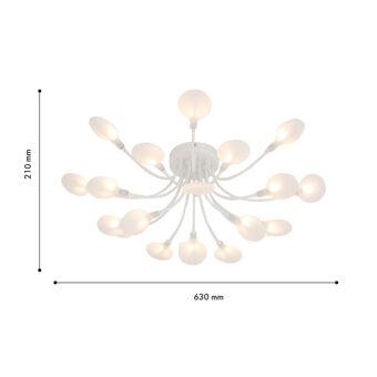 Накладная люстра F-Promo 4198-20C