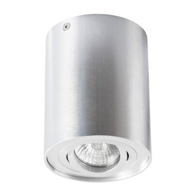    Arte Lamp FALCON A5644PL-1SI