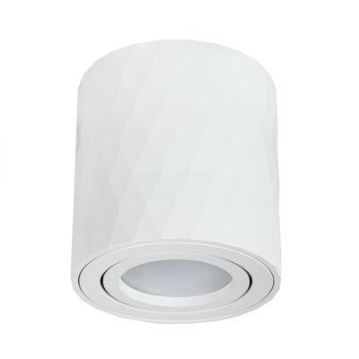    Arte Lamp FANG A5559PL-1WH