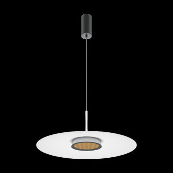 Подвесной светильник Maytoni MOD041PL-L15W3K1