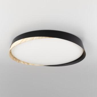 Накладной светильник Citilux CL754451G