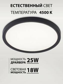 Накладной светильник Natali Kovaltseva LED LAMPS 81114/2C