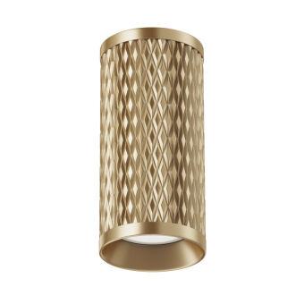 Накладной светильник Maytoni Technical C036CL-01G