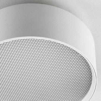 Накладной светильник Lightstar 215946