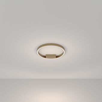 Накладной светильник Maytoni MOD058CL-L25BSK