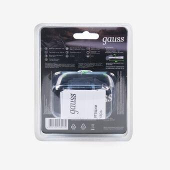 Фонарь Gauss GF307