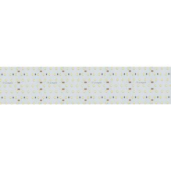 Лента Arlight 023409