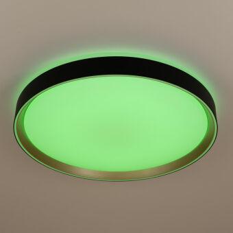 Накладной светильник Citilux CL751451G