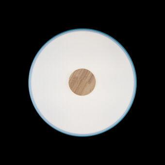 Потолочный детский светильник LOFT IT 10003/24 Blue