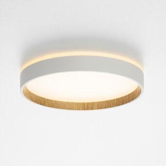 Накладной светильник Citilux CL750240