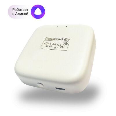 WI-FI  Denkirs DK7400-WF