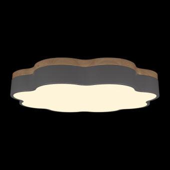 Накладной светильник LOFT IT 10225/36 Grey