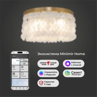 Накладная люстра Eurosvet 60084/5 латунь/перламутр Smart