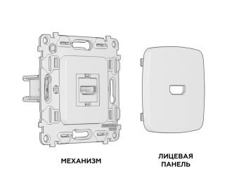 Розетка Ambrella Volt MO814010