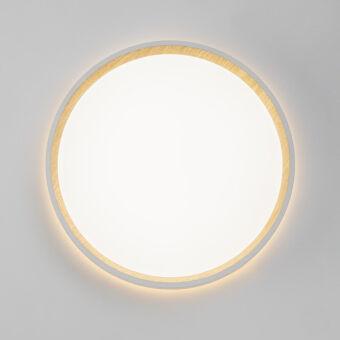 Накладной светильник Citilux CL750240