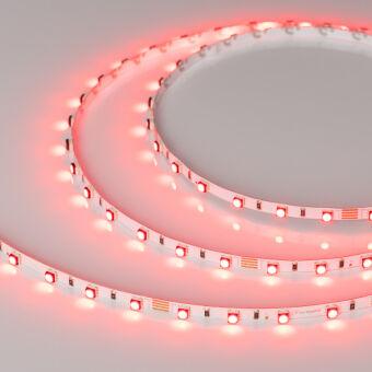 Лента Arlight 025706