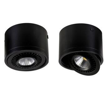 Накладной светильник Favourite 1779-1C