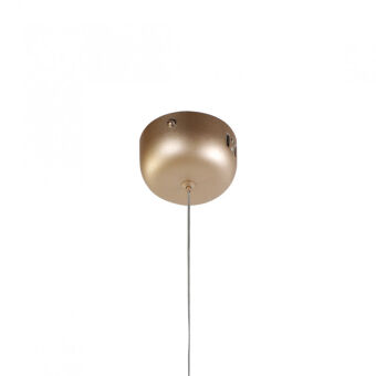 Подвесной светильник Favourite 2217-1P