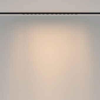 Светильник на шине Maytoni Technical TR175-1-24WTW-M-B