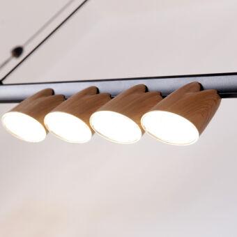 Подвесная люстра Favourite 4266-10P