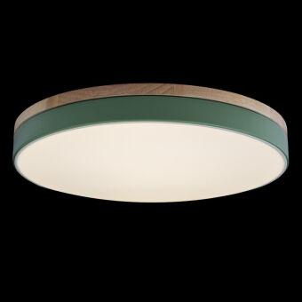 Потолочный детский светильник LOFT IT 10001/36 Green