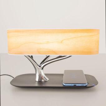 Настольная лампа Citilux CL803042