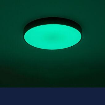 Накладной светильник Citilux CL72470G1