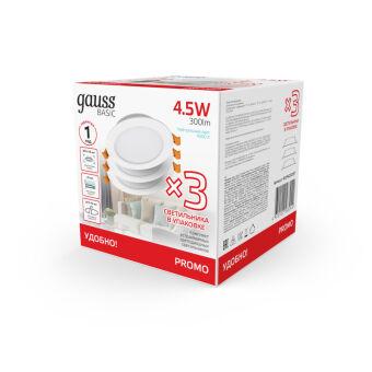 Светильник Downlight Gauss 9029420205T
