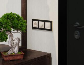 Клавиша/Накладка Ambrella Volt AP3105